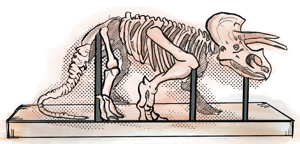 Full skeleton of a large predatory dinosaur, posed in an aggressive stance against a dark background.