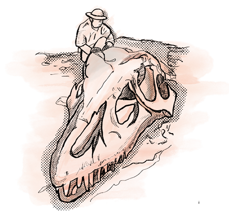 Illustration of a fossil partially buried in rock, with a person applying foil and plaster for preservation.