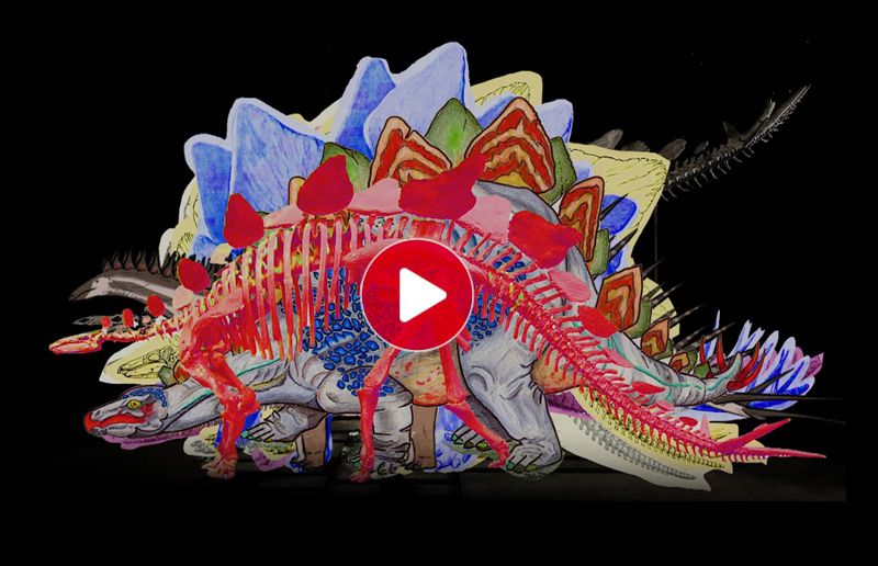 Colourful artistic rendering of multiple Stegosaurus skeletons layered together with a play button overlay.