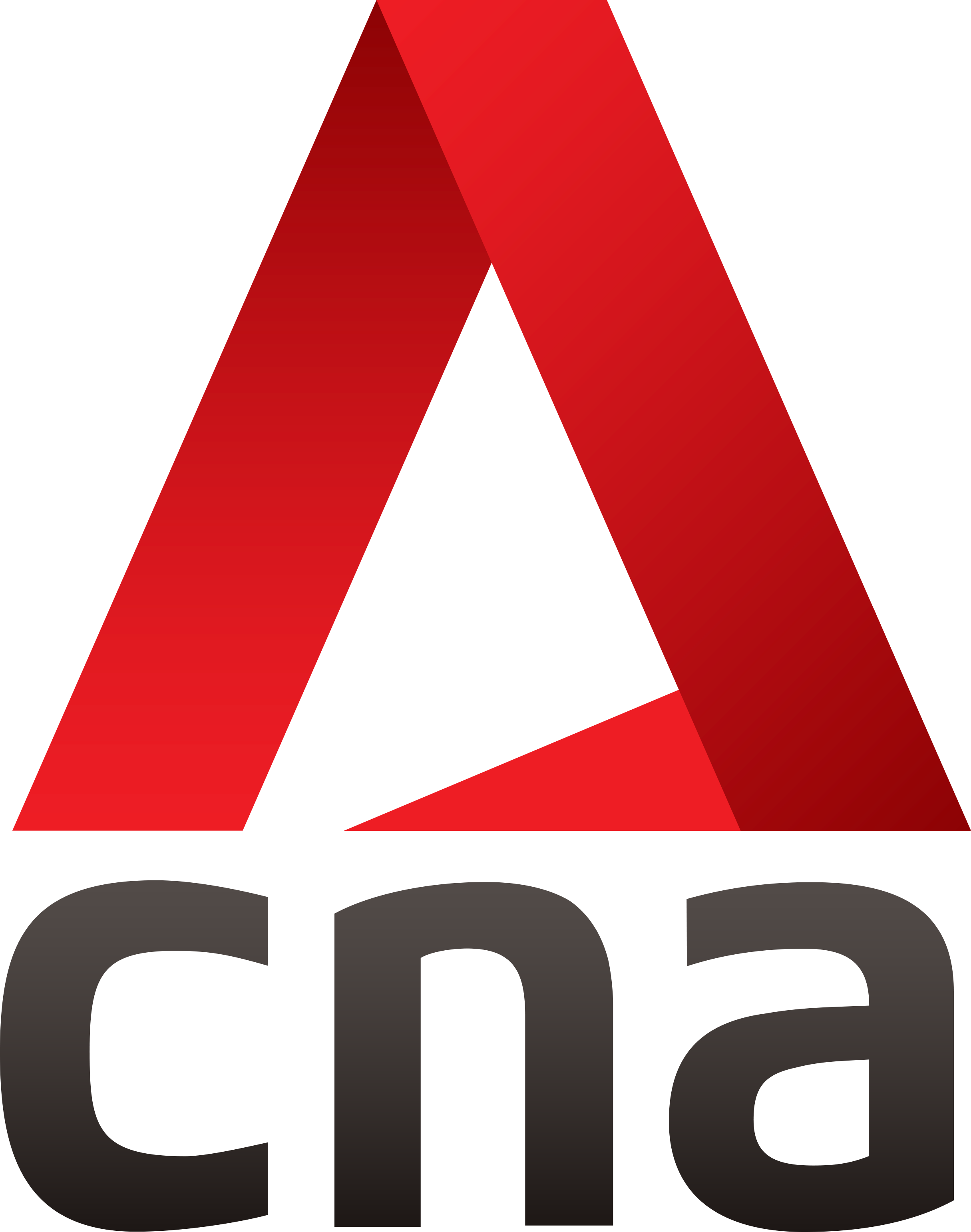 CNA Logo